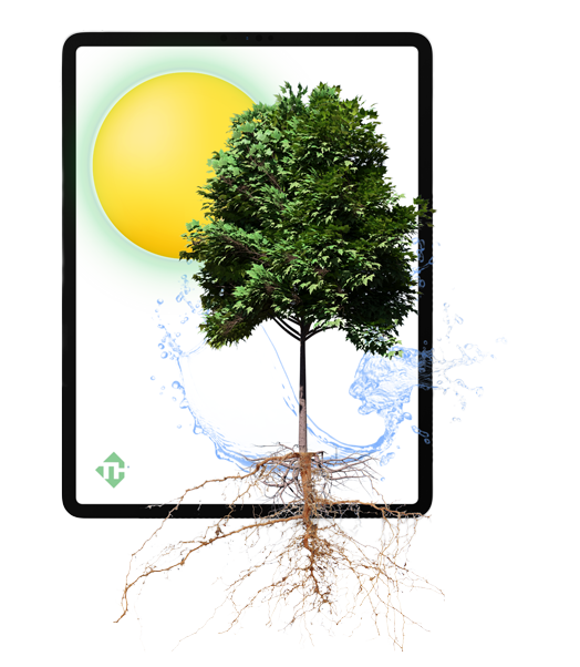 techHouse-Tech-That-Fits—Strategy-That-Works Tree and sun on a mobile device