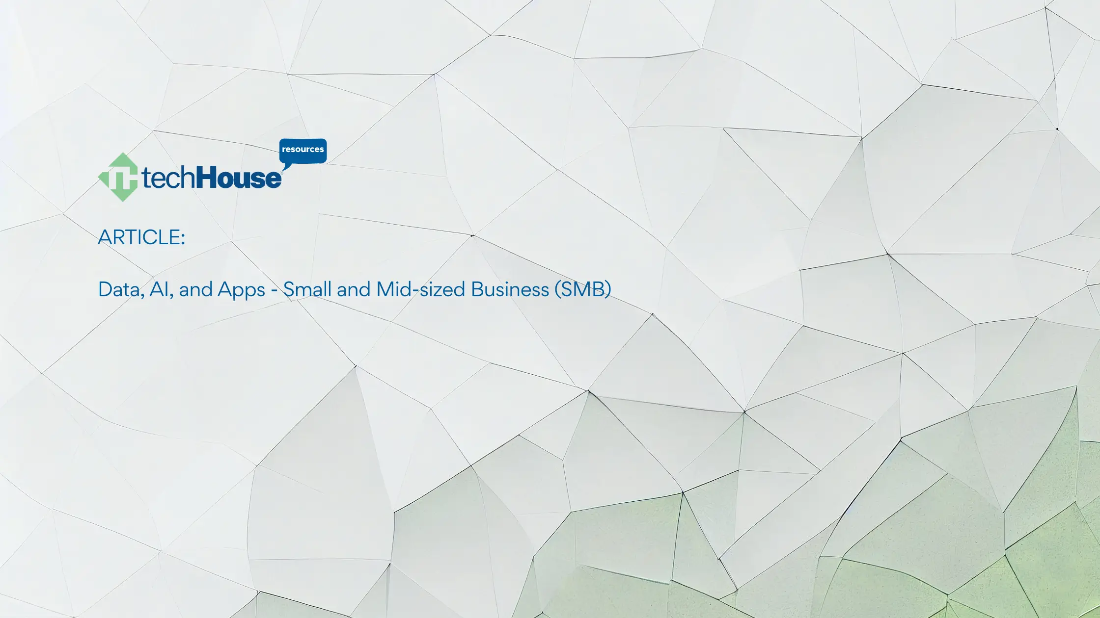 Data, AI, and Apps – Small and Mid-sized Business Leaders’ Mid-Year Strategy Update